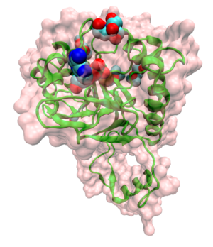 Ribbon model of Rv0805, a phosphodiesterase specific to Mycobacterium