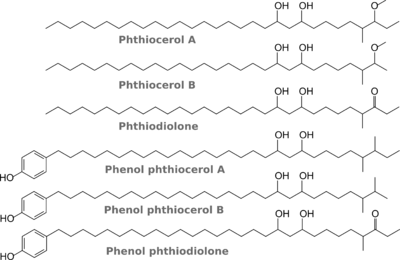 Fig. 2. Phthiocerols, phthiodiolone, phenylphthiocerols, phenylphthiodiolone.